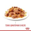 ПАК.Вологий корм для дорослих кішок Royal Canin HAIR&amp;SKIN IN JELLY (Желе) підтримка здоров'я шкіри та вовни 12шт по 85 г - 3