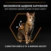 Сухой корм для взрослых кошек Purina Pro Plan Adult 1+ Derma Care для поддержания здоровья кожи и красоты шерсти с лососем 400 г - 4