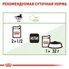 ПАК.Вологий корм Royal Canin DIGEST SENSITIVE для дорослих кішок з чутливим травленням 12шт по 85 г - 5