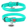 Ошейник для собак кожаный WAUDOG Glamour с QR паспортом, круглый, Д 6 мм, Дл 17-20 см, ментоловый - 1