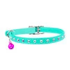 Нашийник "WAUDOG GLAMOUR" з резинкою, клейовими стразами для котів (ширина 9мм, довжина 22-30см), ментоловий - 2