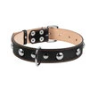 Нашийник "CoLLaR" подвійний з прикрасами (ширина 35мм, довжина 48-63см), чорний - 3
