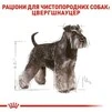 Сухий корм Royal Canin Miniature Schnauzer Adult для дорослих собак старше 10 місяців 7.5 кг - 2