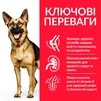 Сухой корм для зрелых собак больших пород от 6 лет Hill&rsquo;s Science Plan Mature Adult 6+ Large Breed с курицей 14 кг - 3