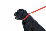Повідець для собак водостійкий WAUDOG Waterproof, Ш 20 мм, Дл 122 см, червоний - 5