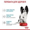 ПАК.Вологий корм для щенят Royal Canin Xsmall Puppy 12 шт по 85 г - 7