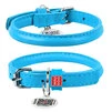 Нашийник для собак шкіряний WAUDOG Glamour з QR паспортом, круглий, Д 8 мм, Дл 25-33 см, блакитний - 1