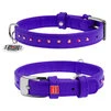 Нашийник для собак шкіряний WAUDOG Glamour з QR паспортом, з клейовими стразами, Ш 15 мм, Дл 27-36 см, фіолетовий - 1