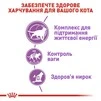 Сухой корм для стареющих стерилизованных кошек Royal Canin STERILISED 7+ 10 кг - 4