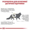 Сухий корм Royal Canin Urinary S/O Feline для дорослих котів з сечокам'яною хворобою 400 г (НФ-00000241) - 7