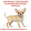 Сухой полнорационный корм для щенков Royal Canin Chihuahua Puppy породы чихуахуа возрасте от 2 до 8 месяцев 1.5 кг - 6