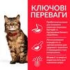 Сухой корм Hill's Science Plan Adult Sensitive Stomach&amp;amp;Skin для кошек с чувствительным пищеварением с курицей 0.3 кг - 2