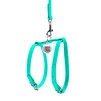 Шлея с поводком для собак кожаная WAUDOG Glamour c QR паспортом, Ш 12 мм, А 25-33 см, В 35-43 см, ментоловый - 2