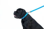 Повідець для собак водостійкий WAUDOG Waterproof, Ш 15 мм, Дл 183 см, блакитний - 5