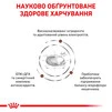 Royal Canin Gastro Intestinal Moderate Calorie Cat Сухий Корм Для Котів При Розладах Перетравлення 2 кг - 11
