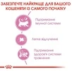 Сухий корм Royal Canin Mother and Babycat для кошенят до 4 місяців 2 кг (НФ-00000218) - 3