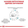 Сухий корм Royal Canin Hypoallergenic Feline гіпоалергенний для дорослих котів 0.4 кг - 4