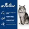 Сухой корм Hill's Prescription Diet L/d Liver Care для кошек при заболеваниях печени с курицей 1.5 кг - 5