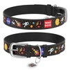 Нашийник для собак шкіряний WAUDOG Design з QR паспортом, малюнок "NASA", Ш 12 мм, Дл 19-25 см, чорний - 1