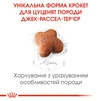 Сухий корм для щенят Royal Canin Jack Russel Puppy 1.5 кг - 3