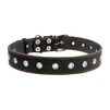 Ошейник "CoLLaR" безразмерный (ширина 35мм, длина 69см), черный - 2