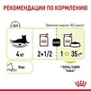 ПАК.Вологий корм Royal Canin SENSORY FEEL GRAVY (Соус) для дорослих котів вибагливих у харчуванні 12 шт по 85 г - 3