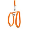 Шлея с поводком для собак кожаная WAUDOG Glamour c QR паспортом, Ш 12 мм, А 25-33 см, В 35-43 см, оранжевый - 2