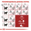 Сухой корм для домашних и уличных кошек Royal Canin Fit 2 кг - 5