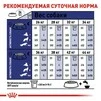 Сухий корм Royal Canin MAXI ADULT 5+ для старіючих собак Великих порід 15 кг - 4