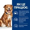 Сухой корм для собак Hill's Prescription Diet Derm Complete при пищевой аллергии и атопическом дерматите 4 кг - 3