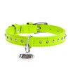 Нашийник для собак шкіряний WAUDOG Glamour з QR паспортом, з клейовими стразами, Ш 12 мм, Дл 21-29 см, салатовий - 2