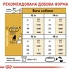 Сухий корм для дорослих собак породи Бігль Royal Canin BEAGLE ADULT 3 кг - 5