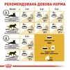 Сухий корм для дорослих котів породи сфінкс  Royal Canin Sphynx Adult 2 кг - 7