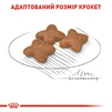 Сухой корм для собак Royal Canin Mini Adult мелких пород старше 10 месяцев 800 г - 5