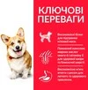 Сухой корм для взрослых собак малых и миниатюрных пород Hill&rsquo;s Science Plan Adult Small&amp;amp;Mini с ягненком и рисом 0.3 кг - 3