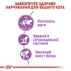 Сухий корм Royal Canin Sterilised для стерилізованих котів від 1 до 7 років 400 г (НФ-00000213) - 4