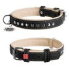 Нашийник для собак шкіряний WAUDOG Soft з QR паспортом, металеві прикраси, Ш 15 мм, Дл 27-36 см - 1