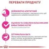 Сухий корм для кішок Royal Canin Fussy Exigent для вибагливих дорослих кішок, смак птаха 4 кг - 3