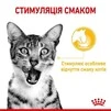 ПАК.Вологий корм Royal Canin SENSORY TASTE GRAVY (Соус) для дорослих котів вибагливих у харчуванні 12 шт по 85 г - 6
