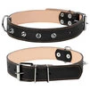 Нашийник "CoLLaR" подвійний з шипами (ширина 35мм, довжина 48-63см), чорний - 1
