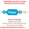 Сухой корм для щенков Royal Canin Jack Russel Puppy 1.5 кг - 5