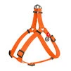 Шлея для собак водостойкая WAUDOG Waterproof с QR-паспортом, металлическая пряжка-фастекс, XS, Ш 15 мм, Дл 30-39 см, оранжевый - 1