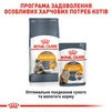 Сухий корм для котів Royal Canin Hair &amp; Skin Care 2 кг - 6