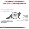 Сухий корм Royal Canin GASTROINTESTINAL CAT для дорослих котів, при гострих розладах травлення 400 г - 5
