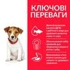 Сухой корм для щенков малых и миниатюрных пород Hill&rsquo;s SCIENCE PLAN Puppy Smal&amp;amp;Mini с ягненком и рисом, 1,5 кг - 3
