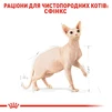 Сухий корм для дорослих котів породи сфінкс  Royal Canin Sphynx Adult 2 кг - 3