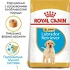 Корм Royal Canin Labrador Retriver Puppy сухой для щенят породы лабрадор 3 кг - 3