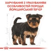 Сухой полнорационный корм для щенков Royal Canin Yorkshire Terrier Puppy породы йоркширский терьер возрасте от 2 до 10 месяцев 7.5 кг - 6