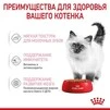 ПАК. Вологий корм Royal Canin KITTEN INSTINCTIVE IN GRAVY (Соус) для кошенят 12шт по 85 г - 3