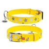 Ошейник для собак кожаный WAUDOG Glamour с QR паспортом, узор "Звёздочка", светящийся/светоотражающий, Ш 20 мм, Дл 30-39 см, желтый - 1